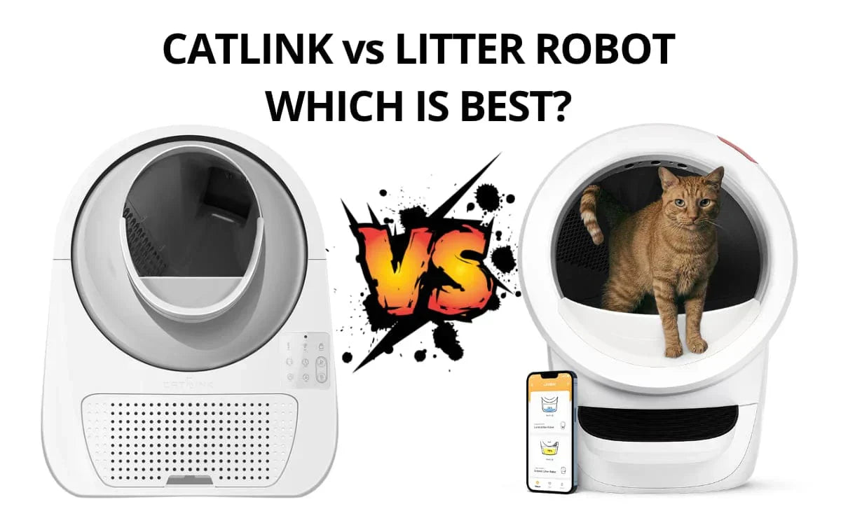 Catlink vs. Litter-Robot 4 vs. Petkit (2025 Review)