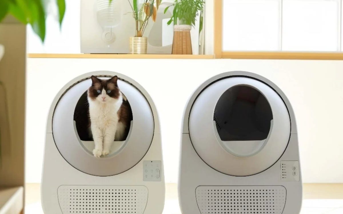 Which Catlink litter box is right for you?