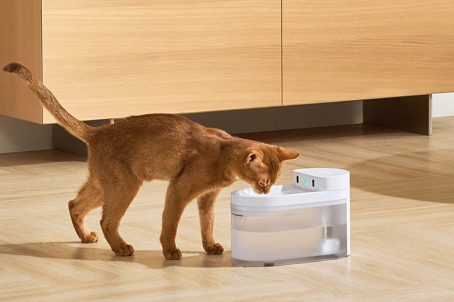 Catlink Smart Water Fountain - Wireless