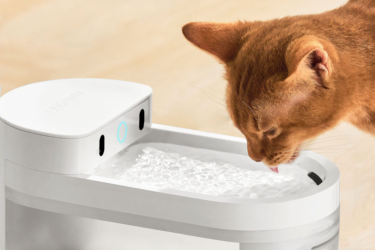 Catlink Smart Water Fountain - Wireless