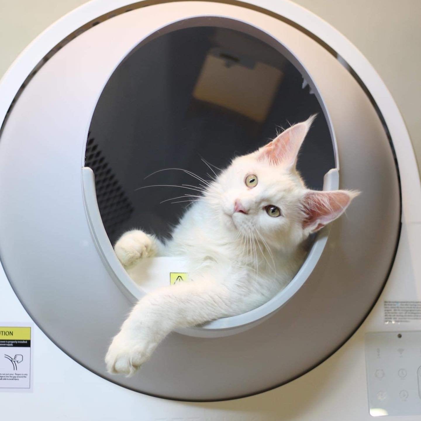 CATLINK Customer Photos