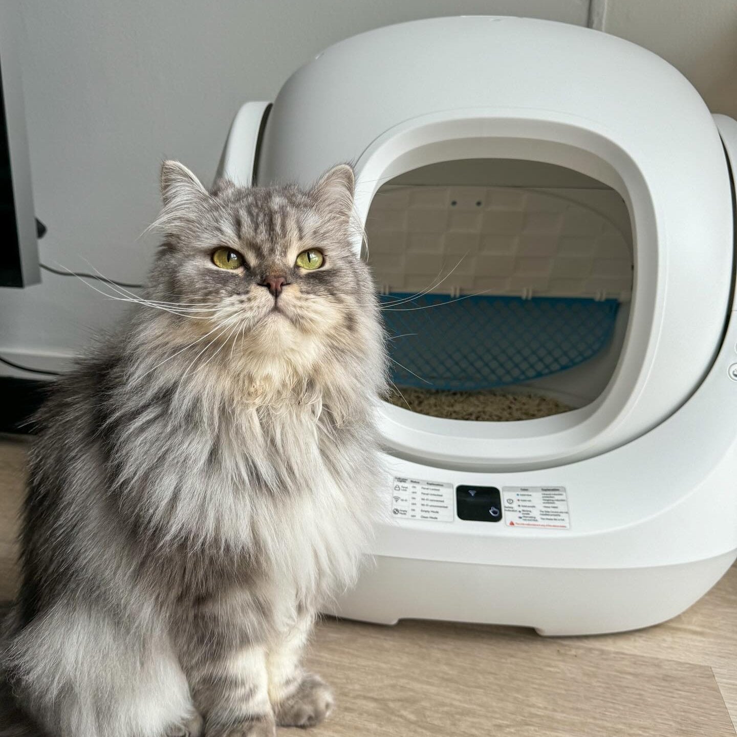 CATLINK Customer Photos