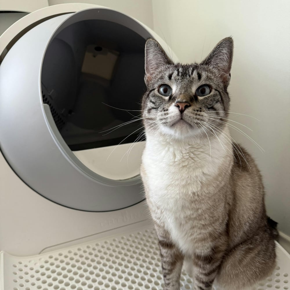 CATLINK Customer Photos