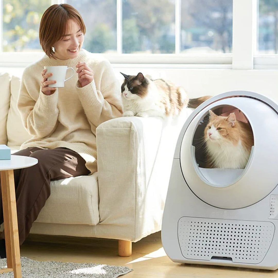 Catlink automatic litter box