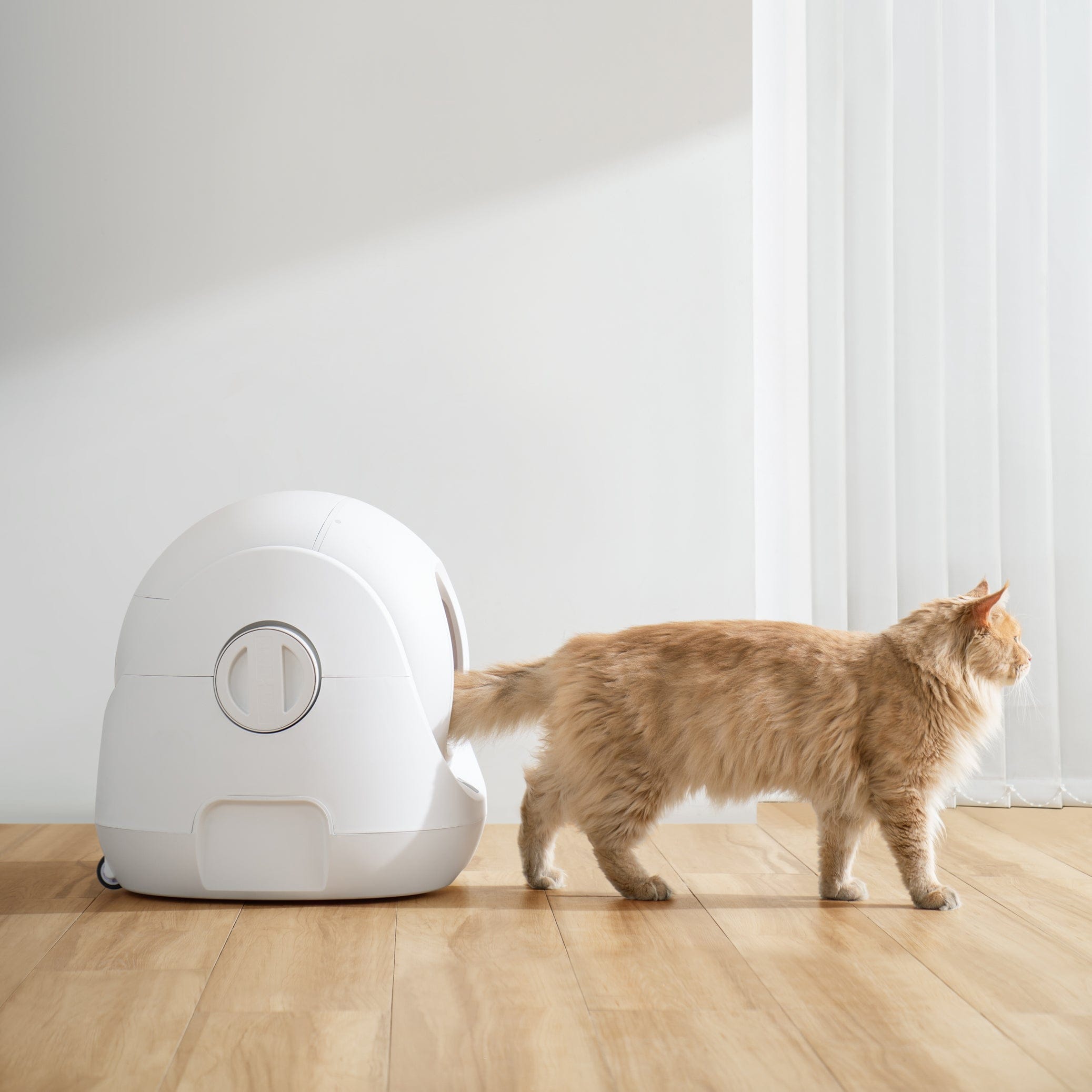Catlink New Zealand Catlink Scooper SE Litter Box