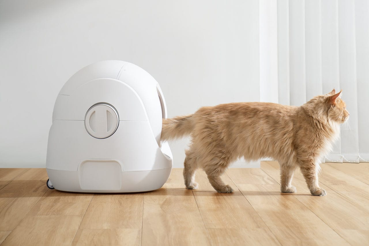 CATLINK Scooper SE