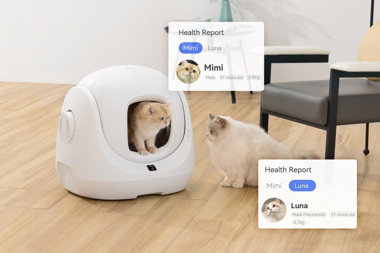 CATLINK Scooper SE