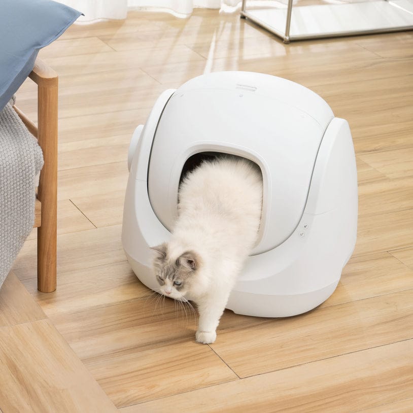 CATLINK Scooper SE
