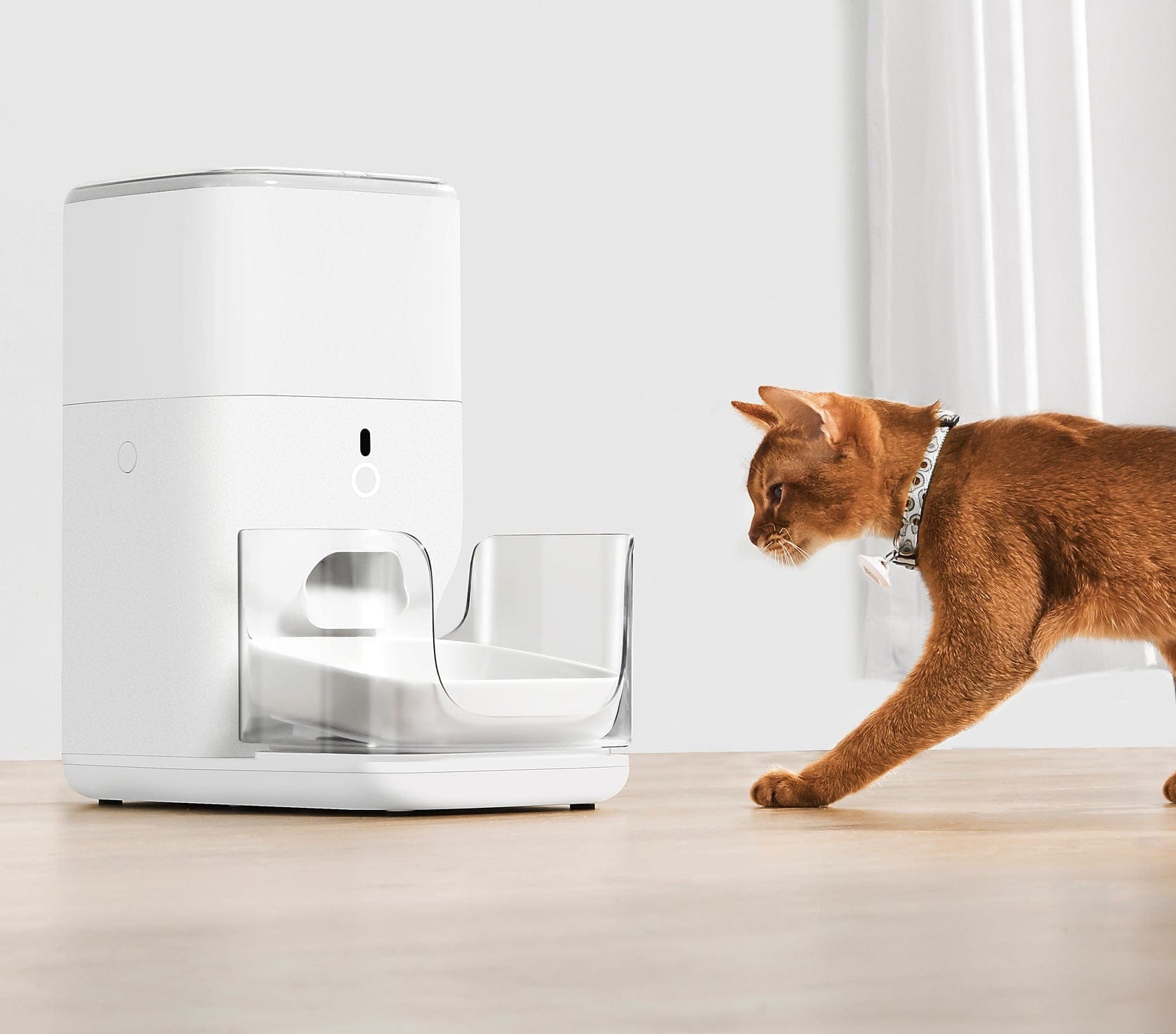 Catlink Smart Feeder
