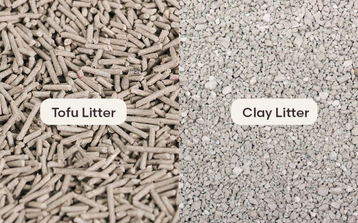 Tofu or Bentonite Cat Litter? The Best Clumping Cat Litter For Your  Self-Cleaning Automatic Litter Box - Catlink New Zealand