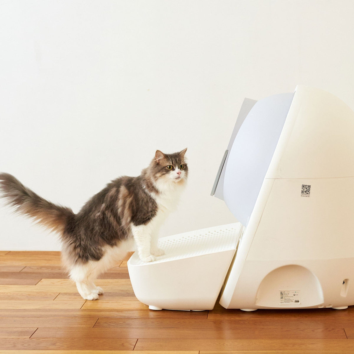 Catlink Ramp for Scooper Luxury Pro / Young in White - Catlink New Zealand
